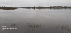 Blick auf das Wasser der Elbe