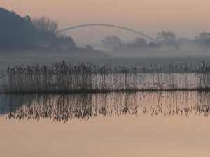 Überschwemmte Elbwiesen